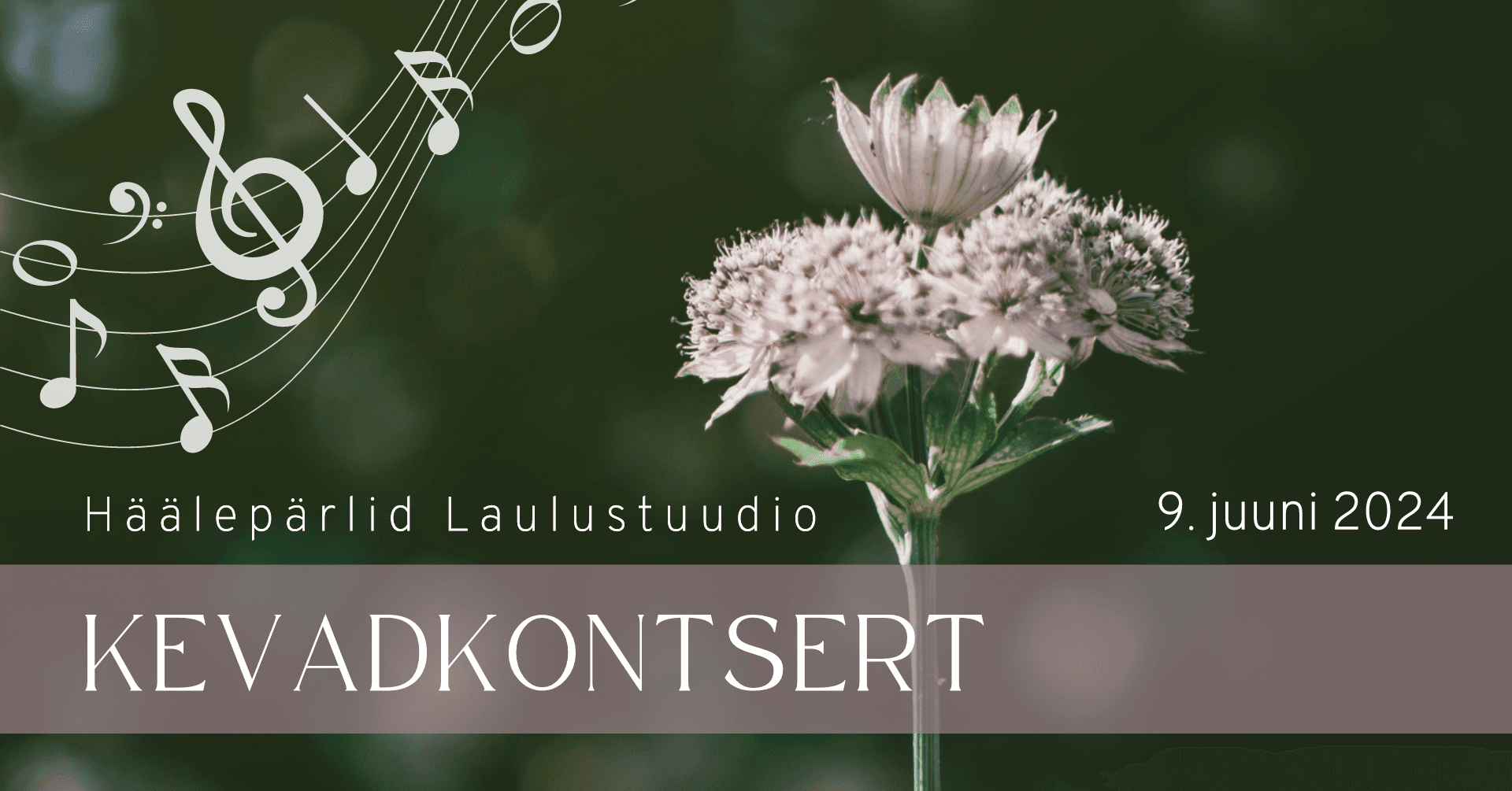 Häälepärlid kevadkontsert